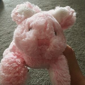 Stuffed animal